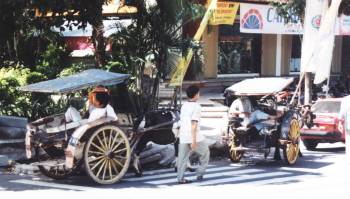 Transportmittel in Ubud